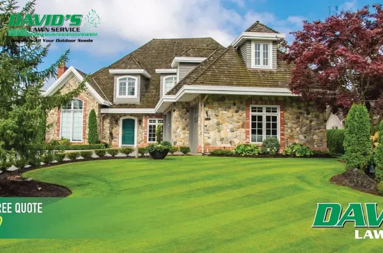 Top Landscapers Near Me for Expert Lawn Care and Custom Landscaping Services Top Landscapers Near Me for Expert Lawn Care and Custom Landscaping Services