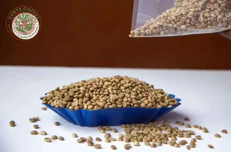 Premium Arabica Coffee AA Grade Beans for Superior Roasting and Flavor