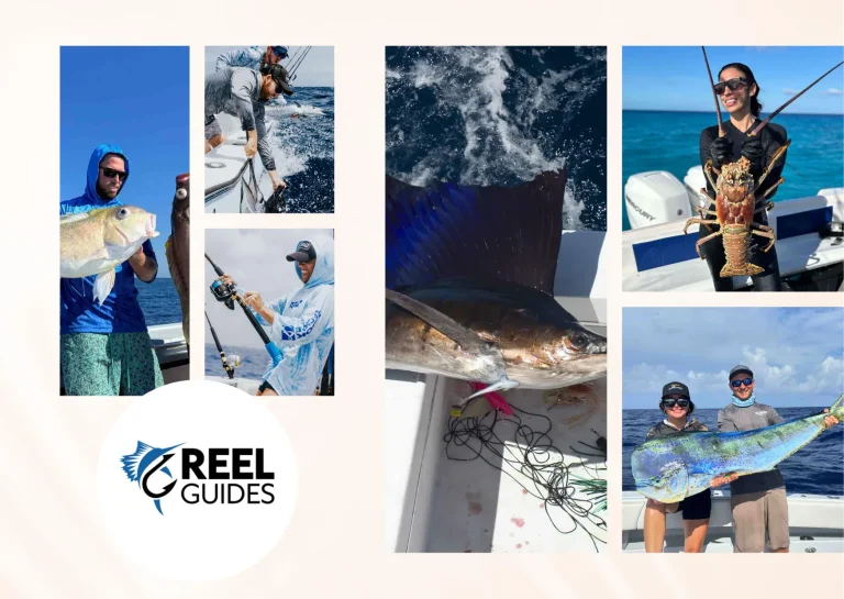 Top Fishing Charters Near Me for an Unforgettable Angling Adventure