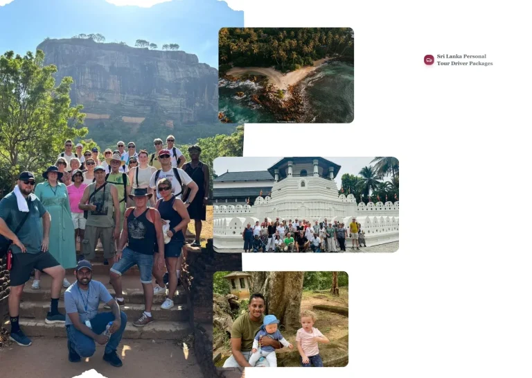 Premium Vehicles With Driver for Comfortable and Safe Travel Services