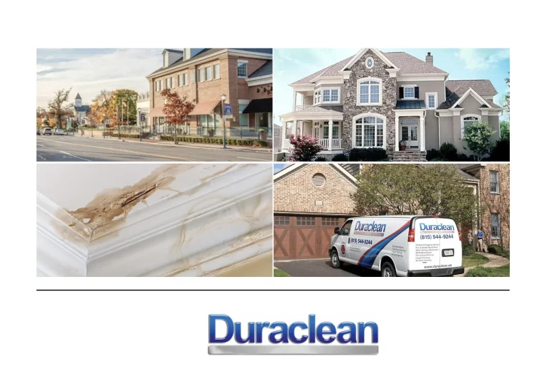 Professional Dryer Vent Cleaning Rockford for Enhanced Safety and Efficiency