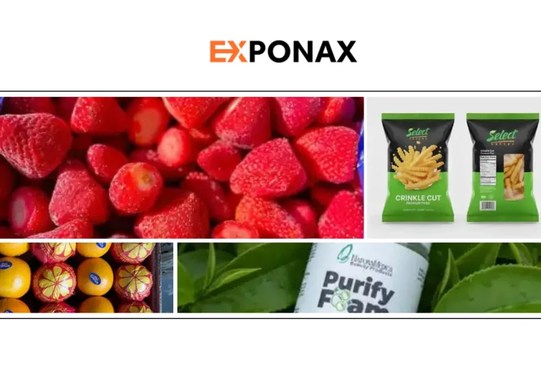 Top Frozen Fruits Supplier Middle East | Reliable B2B Sourcing on Exponax.com