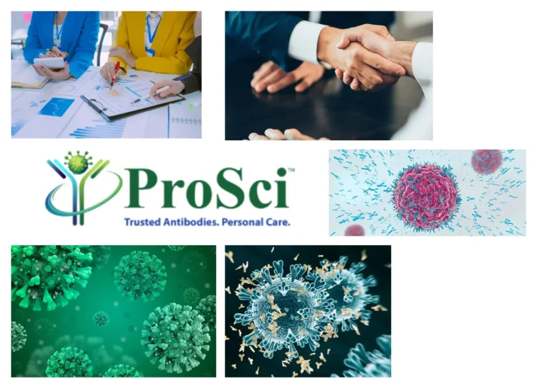 High-Quality Proximity Ligation Assay Antibodies for Sensitive Molecular Detection and Research
