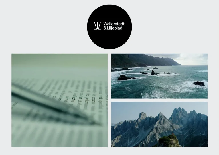 Land-för-land-rapportering: Så påverkar transparens ditt företags framtid