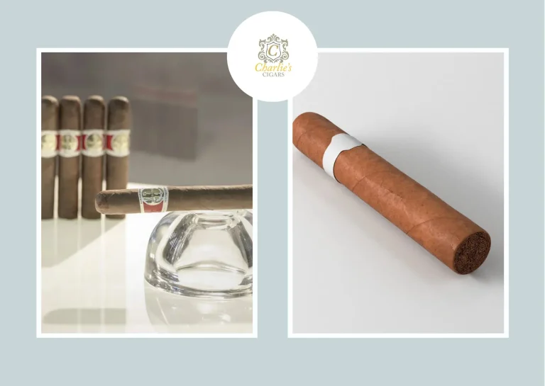 Comprehensive Romeo y Julieta Cigars No 2 Review: Authentic Craftsmanship and Flavor Insights