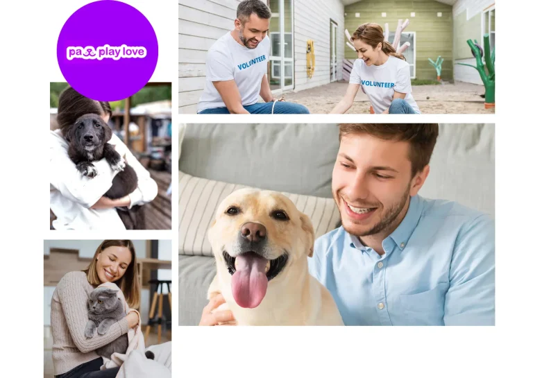 Playdate App for Dogs – Connect Your Pup with Perfect Playmates Easily