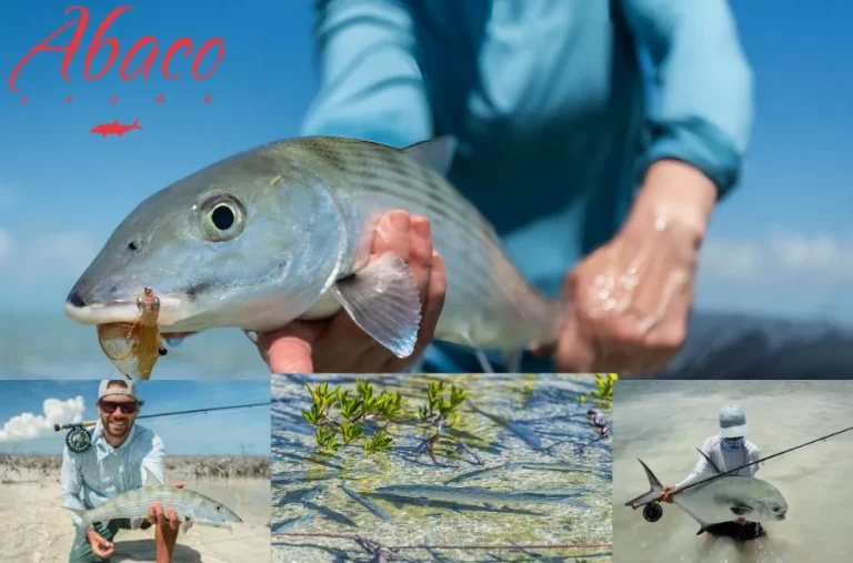 Discover the Best Bonefishing in the Bahamas for Unforgettable Angling Adventures Discover the Best Bonefishing in the Bahamas for Unforgettable Angling Adventures
