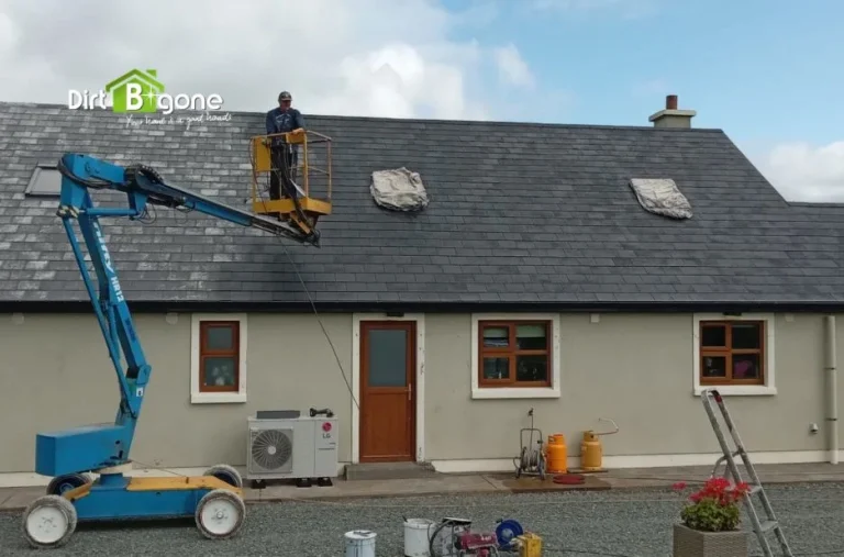 Expert Roof Cleaning Near Me Services for a Cleaner, Healthier Home Exterior