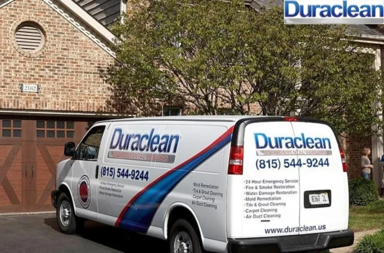 Expert Carpet Cleaning Belvidere Services for a Fresh and Healthy Home