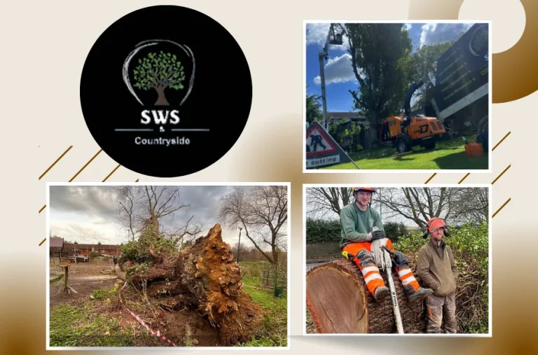 Professional Land Clearance Kent Services for Efficient Site Preparation and Vegetation Management