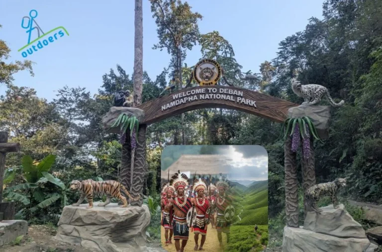 Discover Tranquil Binsar Walks for Scenic Nature Adventures and Hidden Viewpoints