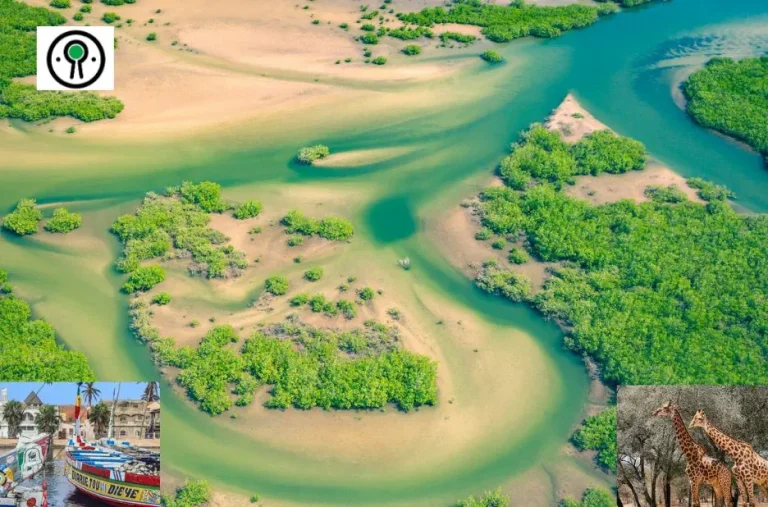 Optimisez vos voyages avec une carte de fidélité avantageuse pour activités et expériences exclusives