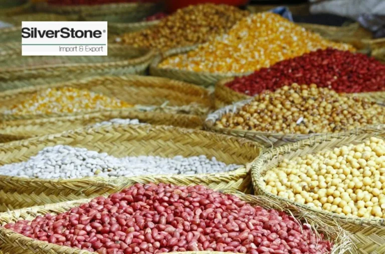 Buy Premium Black Pepper for Sale in Malaysia – Quality Spices Supplier Buy Premium Black Pepper for Sale in Malaysia – Quality Spices Supplier