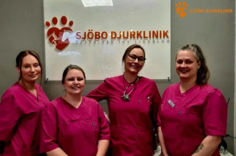Vaccinera Hund i Simrishamn – Professionell Hundvaccination för Din Pälskling