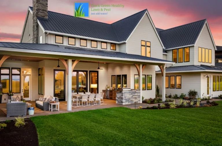 Best Time to Fertilize Your Lawn for Optimal Growth and Health