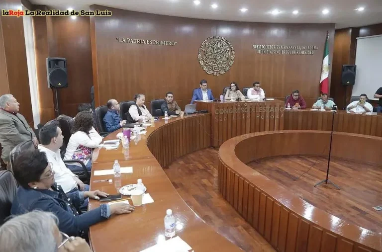 El Pulso de San Luis: Noticias y Actualidad al Instante El Pulso de San Luis: Noticias y Actualidad al Instante