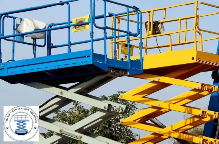Expert WHS Consulting Service in Australia for Comprehensive Safety Solutions