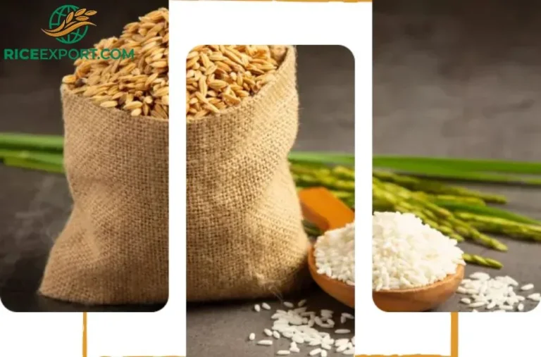 Trusted 25% Broken Rice Exporter Ghana Delivering Quality and Competitive Prices