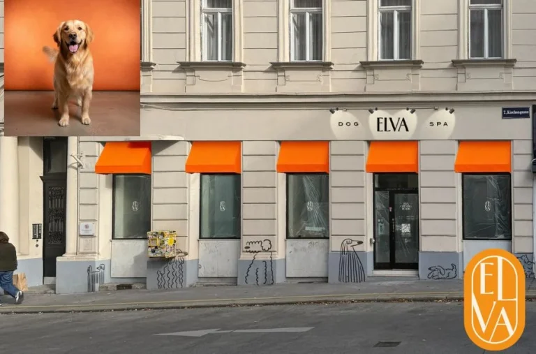 Hund Wellness Behandlung Wien – Ganzheitliche Pflege und Entspannung für Ihren Hund