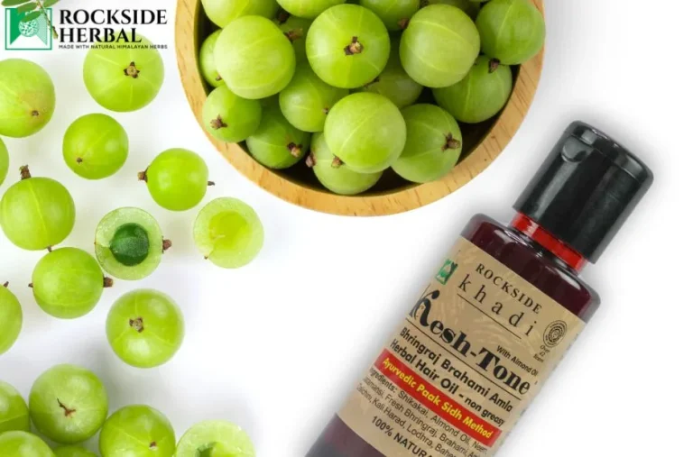 Buy Amla Herbal Shampoo Online for Natural Hair Care and Revitalization