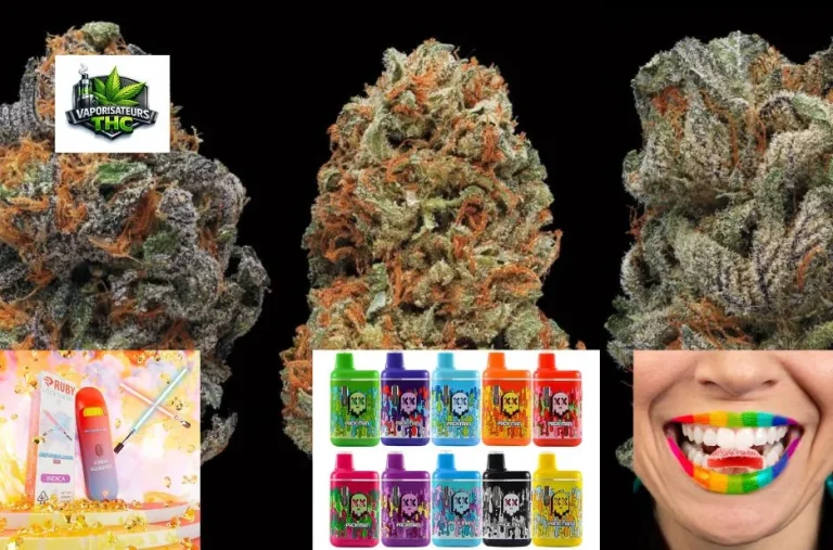 Produits comestibles THC France : Guide complet pour un achat en ligne fiable et discret