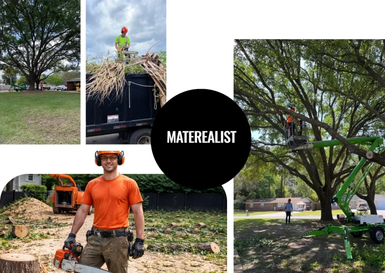 Trusted Tree Cutting Company Near Dothan AL for Safe Removals and Expert Care
