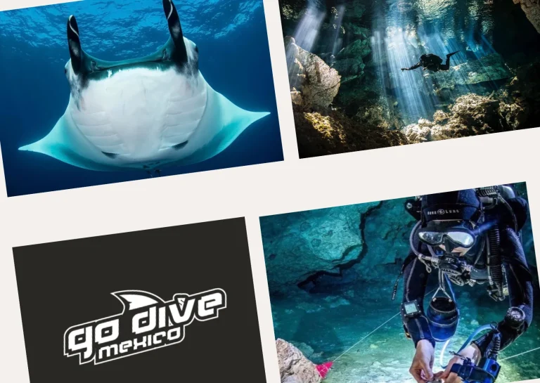 Ultimate Guide to Cenote Diving: Tips, Locations, and Safety Essentials