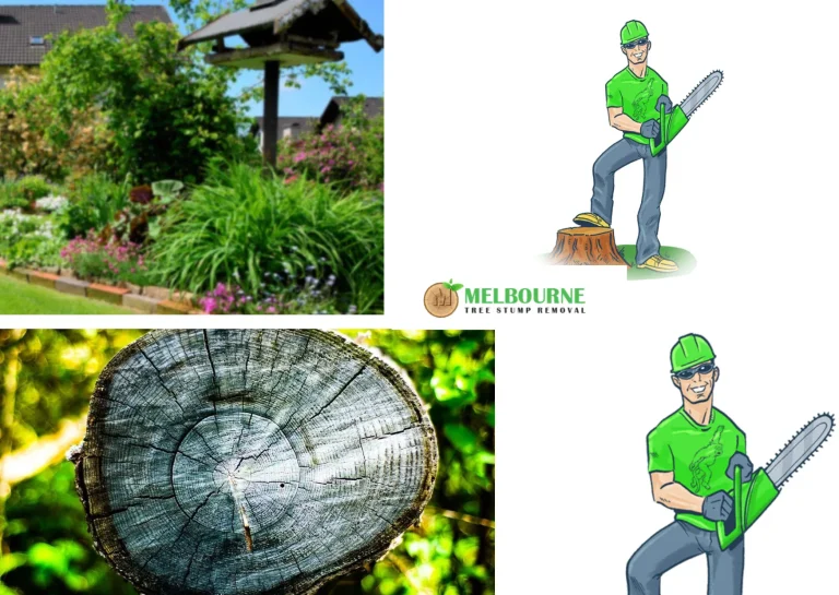 Professional Stump Removal Footscray Services for a Cleaner Outdoor Space