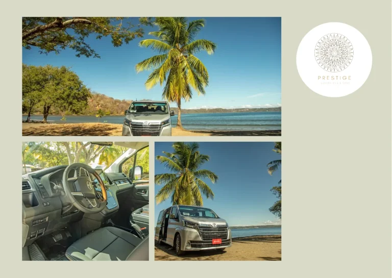 Experience Luxury Tourist Transportation for Unforgettable Travel Adventures
