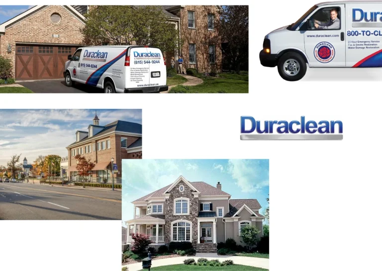 Expert Upholstery Cleaning Lovespark Services for a Fresh and Healthy Home