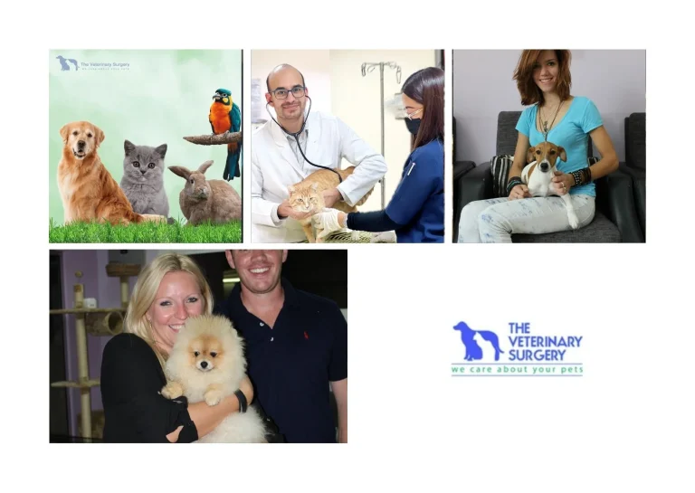 Trusted Emergency Vet Qatar Services for Immediate Pet Care and 24/7 Support