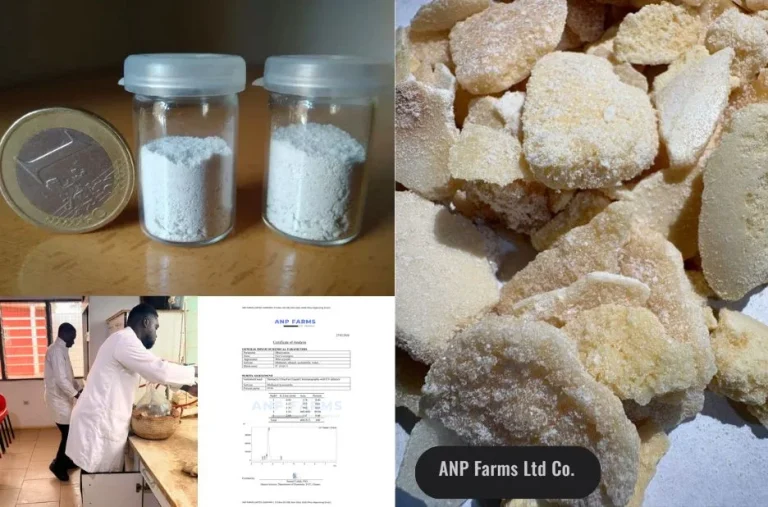 How ANP Farms Ltd Co Supports Reliable Botanical Sourcing for Advanced Extraction Projects