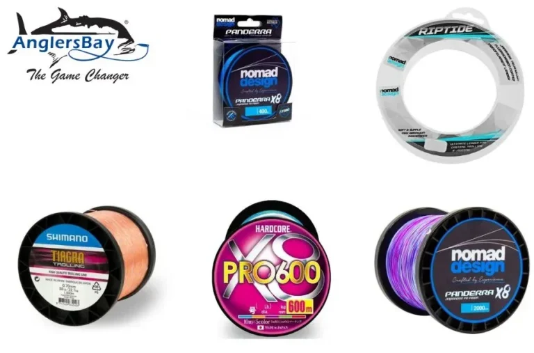 Practical Guide to Choosing the Daiwa Saltiga Reel for Saltwater Power and Control