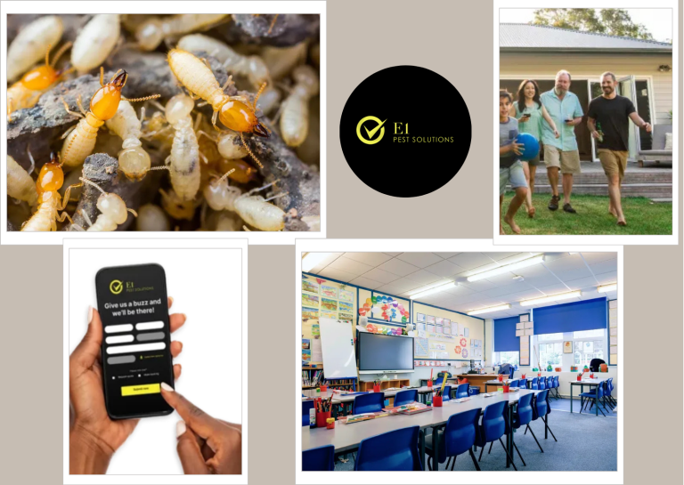 Termite Inspection Sydney Services Compared by E1 Pest Solutions for Clear Results