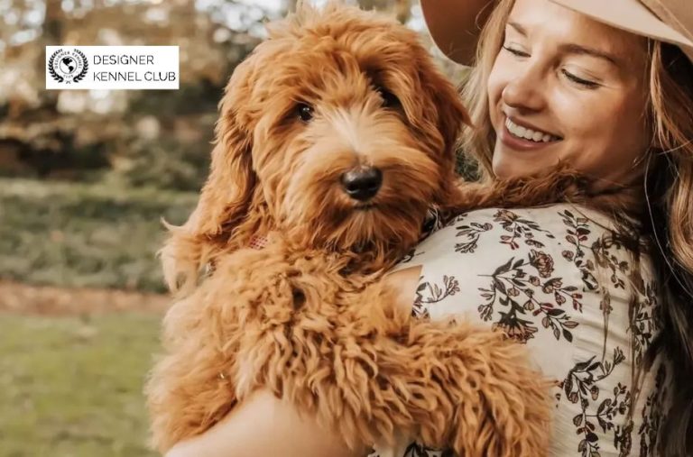 How to Get Official Papers for Your Puppy: A Practical Guide by Designer Kennel Club