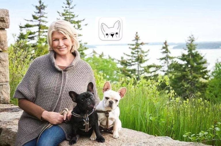 How to Understand DWKC Papers for Your French Bulldog