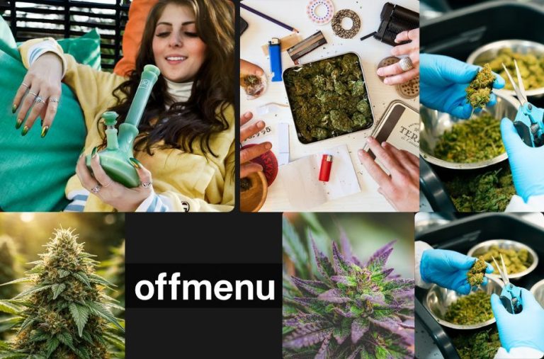 Online Edible Stores in Canada: A Practical Guide to Finding Featured Products