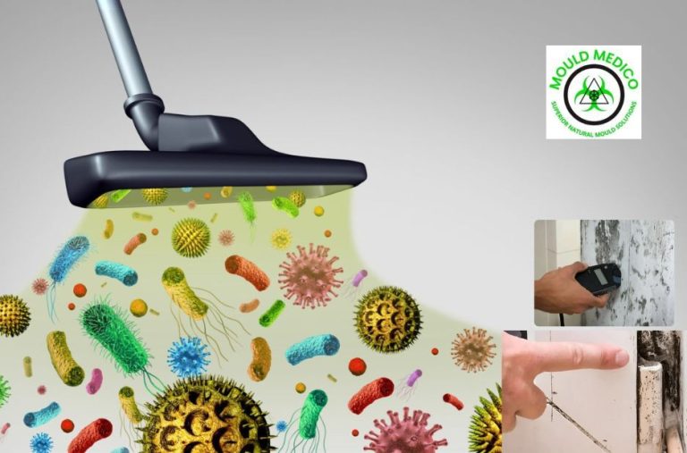 Certified Air Quality Testing Services Queensland: Detect Hidden Mould Spores Accurately