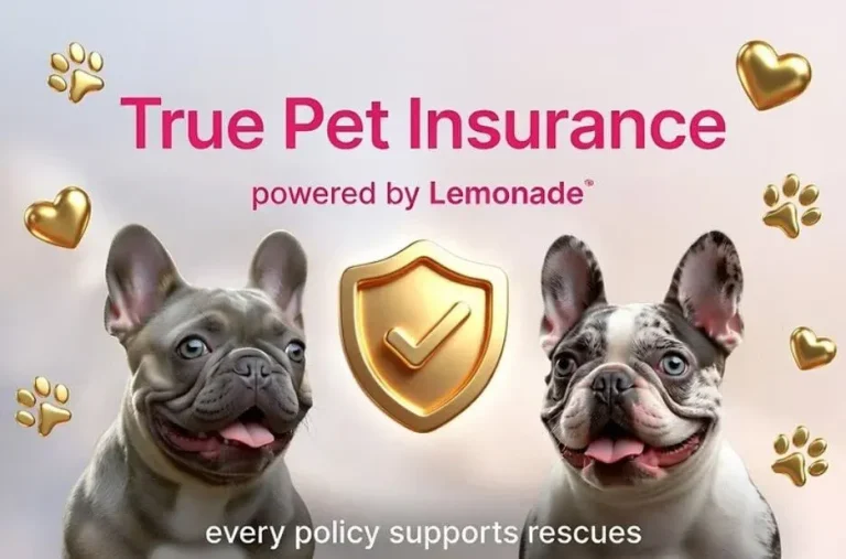 How True Panion Pet Insurance Helps Solve Coverage Gaps for Your Pet