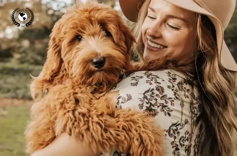 How to Get Papers on a Dog: Trusted Registration Options How to Get Papers on a Dog: Trusted Registration Options