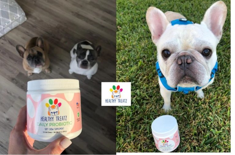 Probiotic Dog Treats: Practical Guide to Choosing Healthy Options