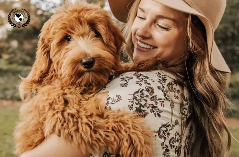 How to Get Papers for a Dog Without Papers: Legal Options and Registration Steps How to Get Papers for a Dog Without Papers: Legal Options and Registration Steps