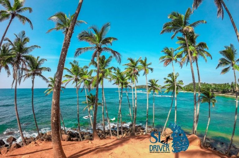Top Attractions in Sri Lanka: Compare Must-See Landmarks and Hidden Gems with Sri Lanka Drivers