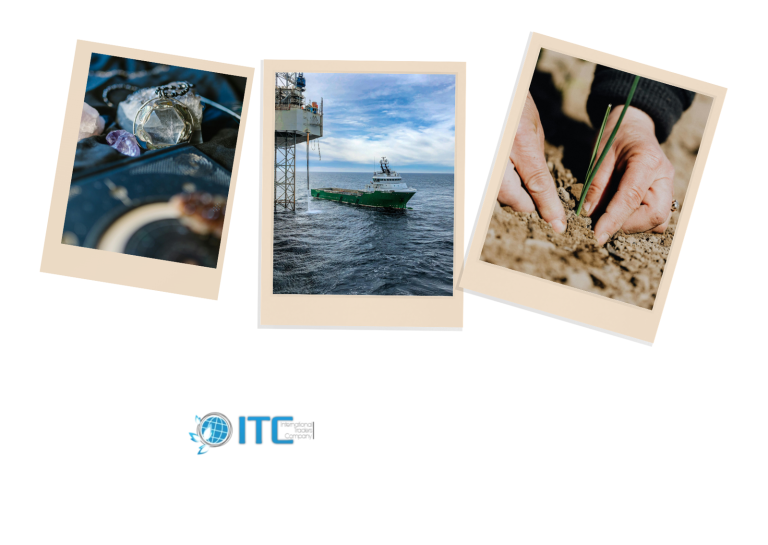 Bulk Commodity Trading Companies Egypt: How International Traders Company ITC Handles Large Orders
