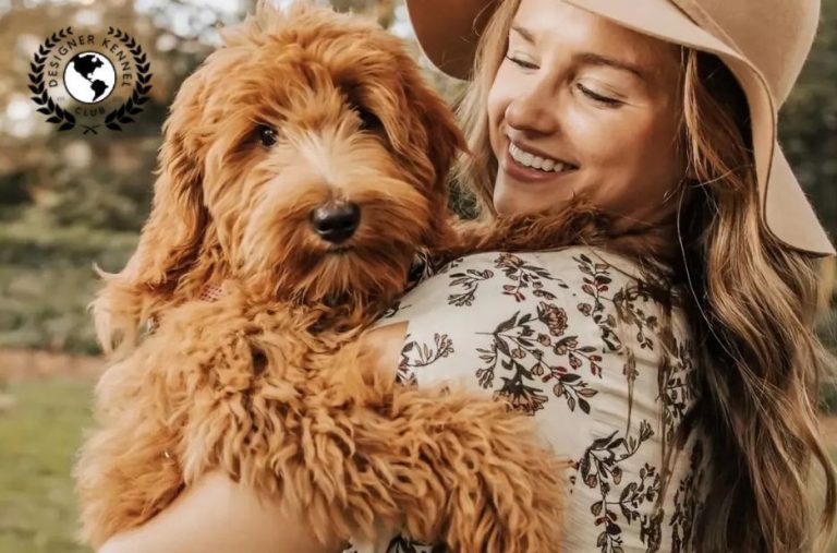 How to Get Dog Registration Papers When Your Dog Has No Records How to Get Dog Registration Papers When Your Dog Has No Records