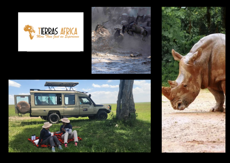 Maasai Mara Migration Safari Checklist for First-Timers