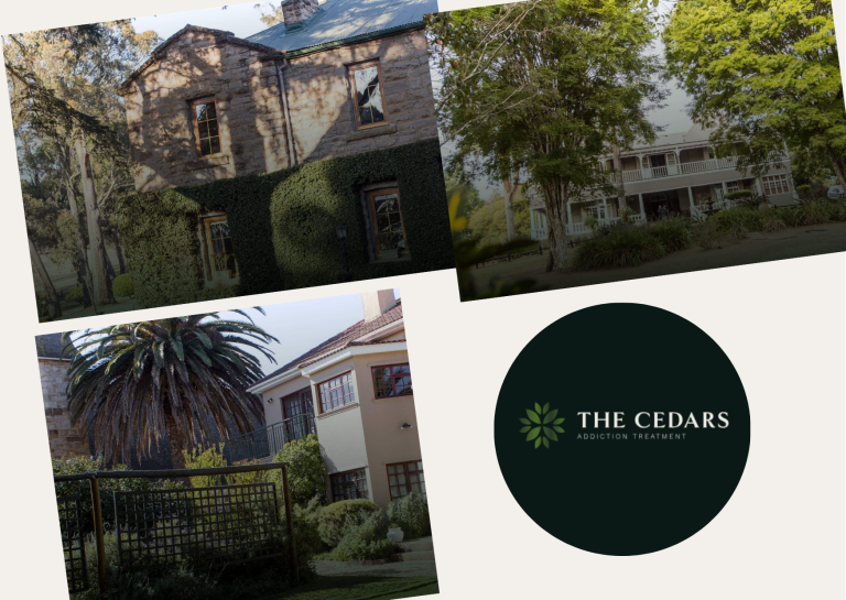 Solving Growth Challenges with a Johannesburg Marketing Partner